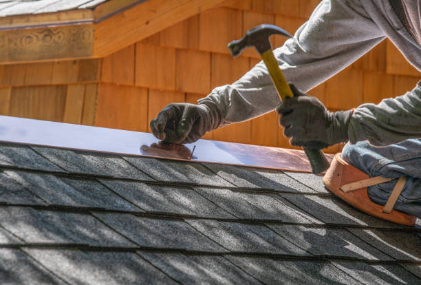 Best Roof Maintenance and Cleaning  in Potterville, MI