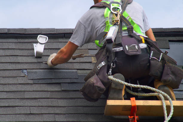 Best Asphalt Shingle Roofing  in Potterville, MI