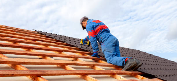 Best Roof Installation  in Potterville, MI