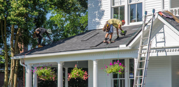 Best Roof Waterproofing  in Potterville, MI